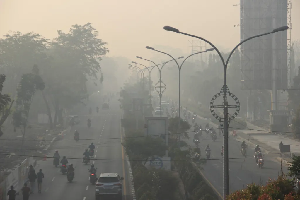 Ketika Asap Menyelimuti Kalimantan: Perlunya Menjaga Kehidupan dalam Perspektif Islam Berkemajuan